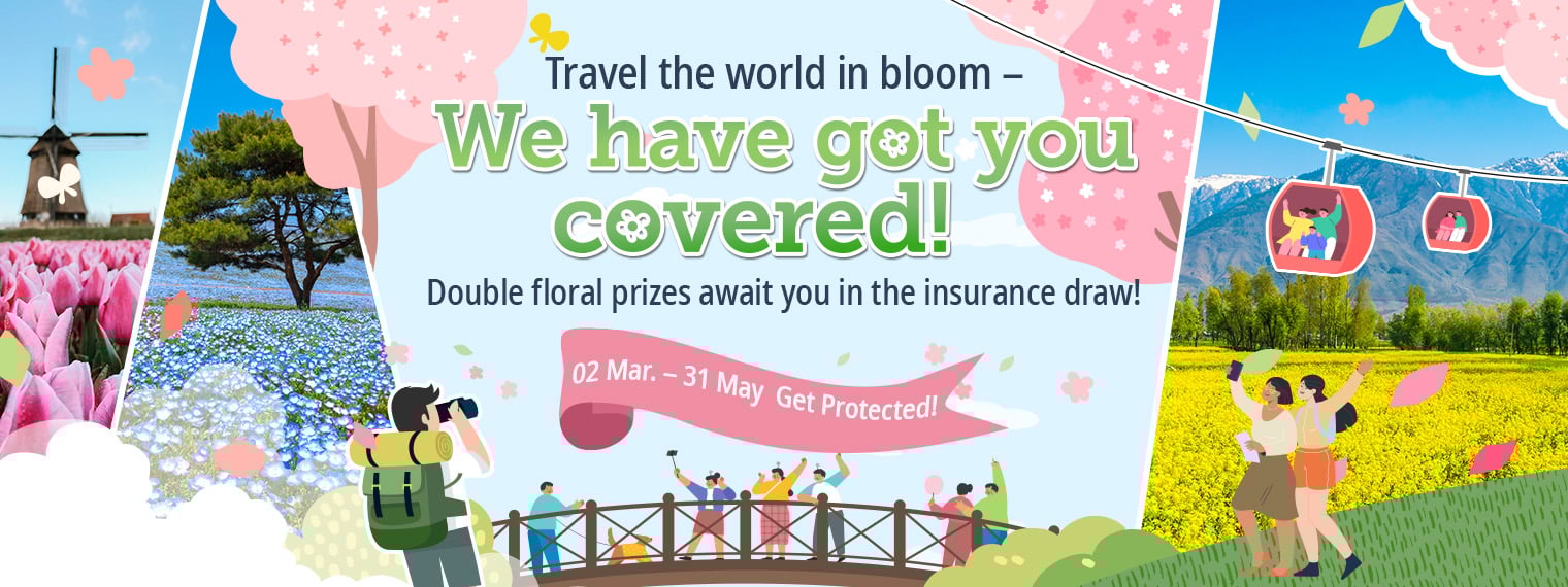Online Travel Insurance Campaign