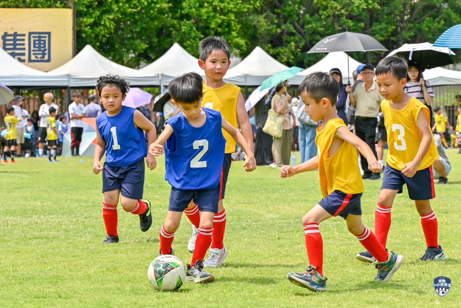 2025安聯小小世界盃-預賽精彩畫面