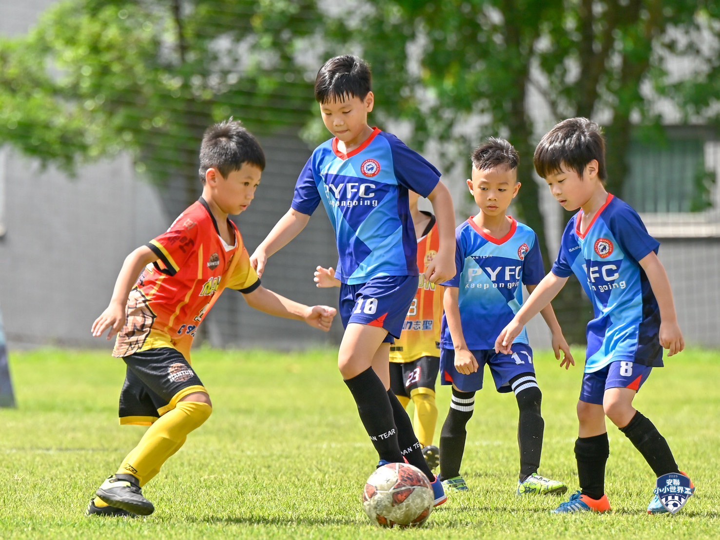 2025安聯小小世界盃-預賽精彩畫面