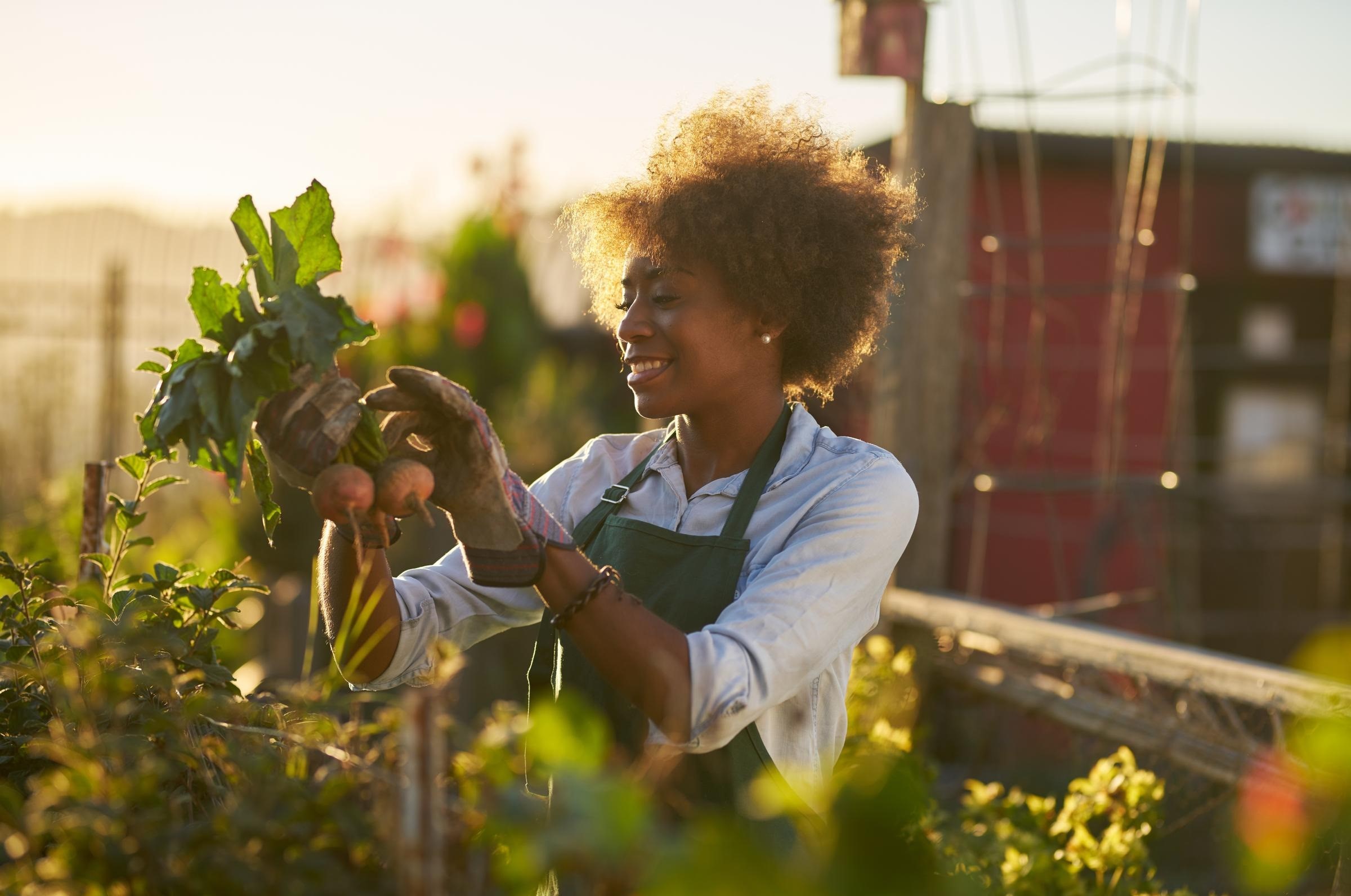 肝不好容易得婦癌？